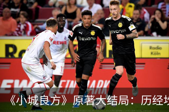 《小城良方》原著大结局：历经坎坷，刘铮亮艾辰终成眷属