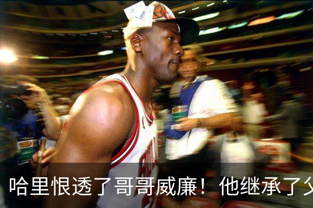 哈里恨透了哥哥威廉！他继承了父亲的王位不说，还继承了母亲的脸